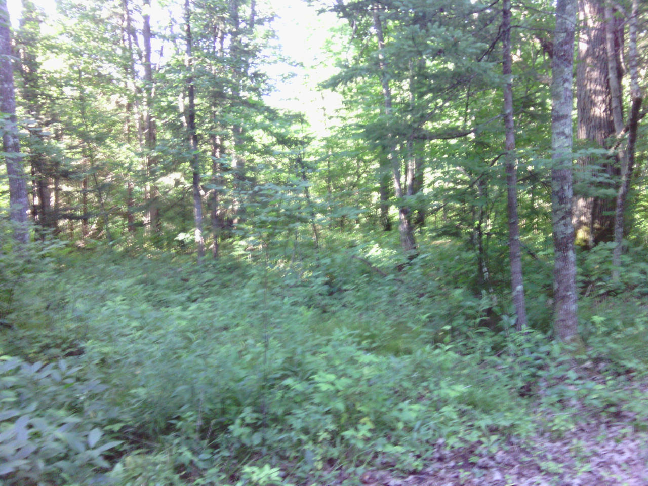 Natures Trail Crivitz, WI 54114 - Photo 1 of 1 Primary Photo
