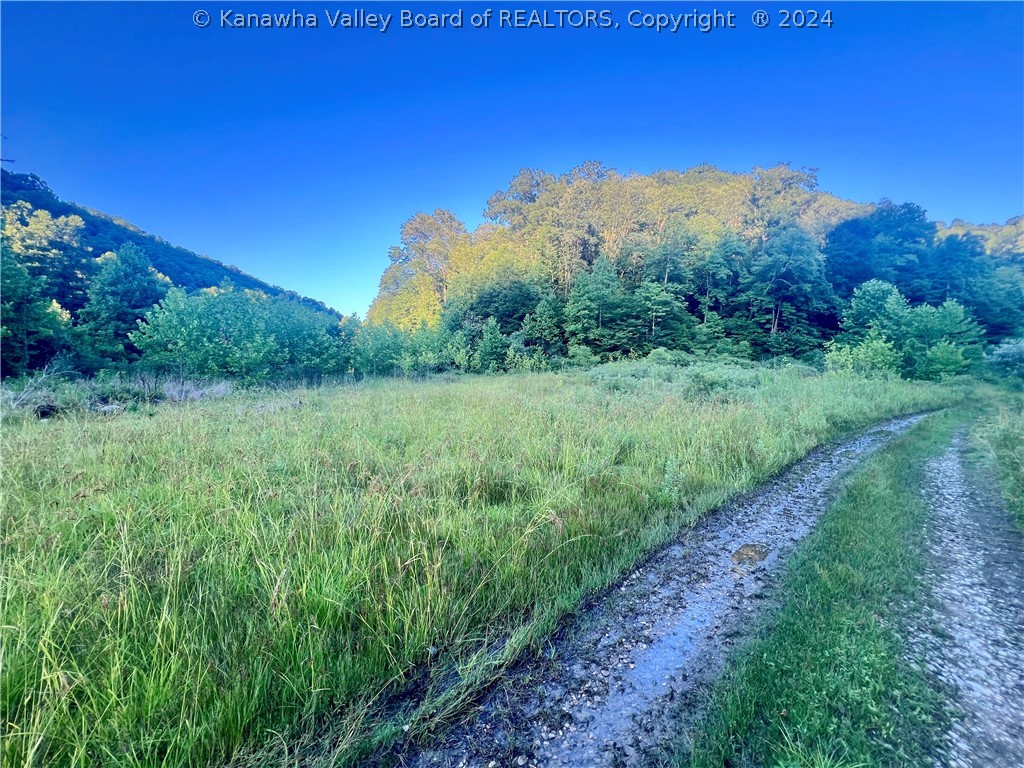 0 Double Camp Branch Road Matewan, WV 25678 - Photo 3 of 11 Gallery Image 3
