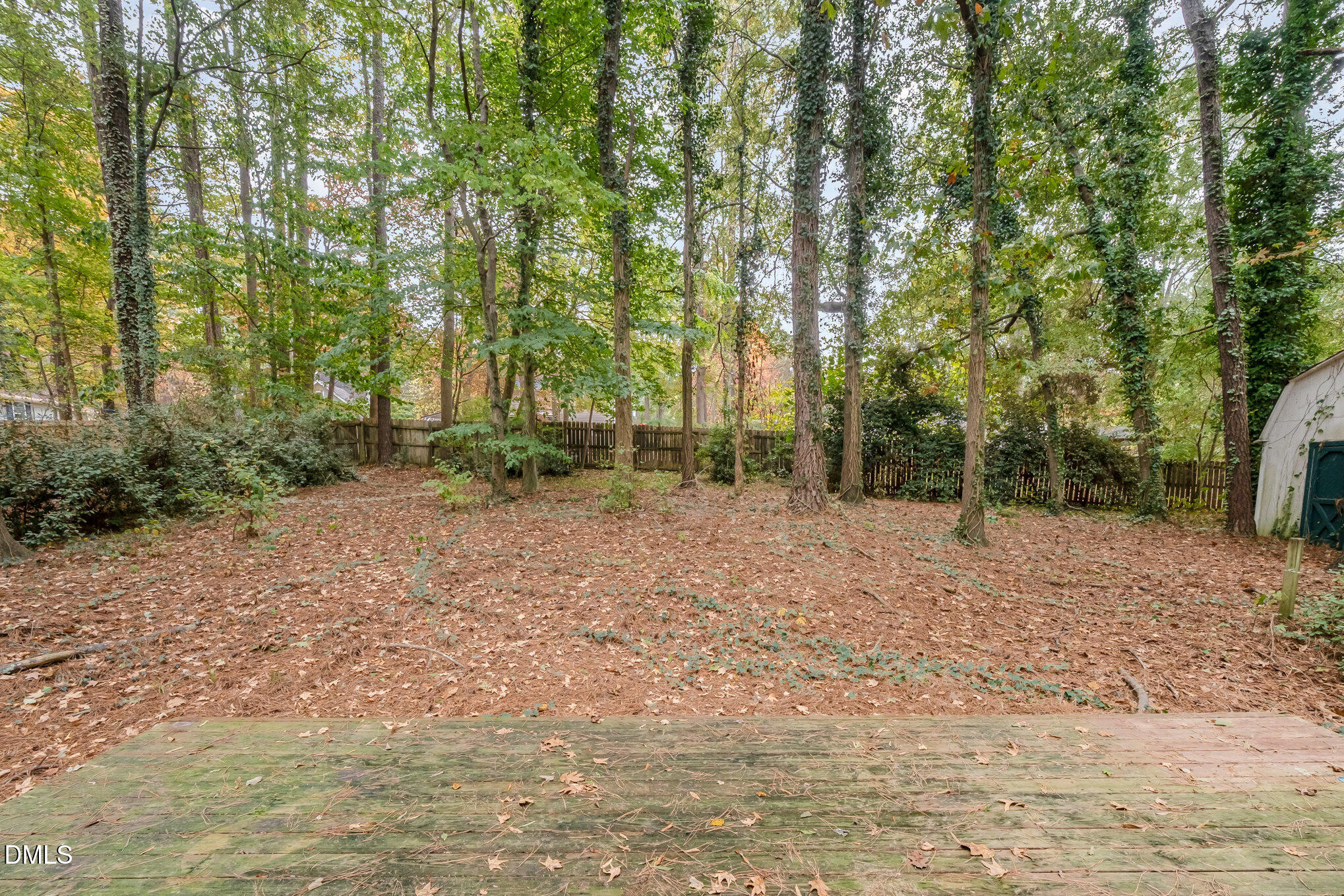 153 Abercrombie Road Wake Forest, NC 27587 - Photo 14 of 18 a view of backyard with green space