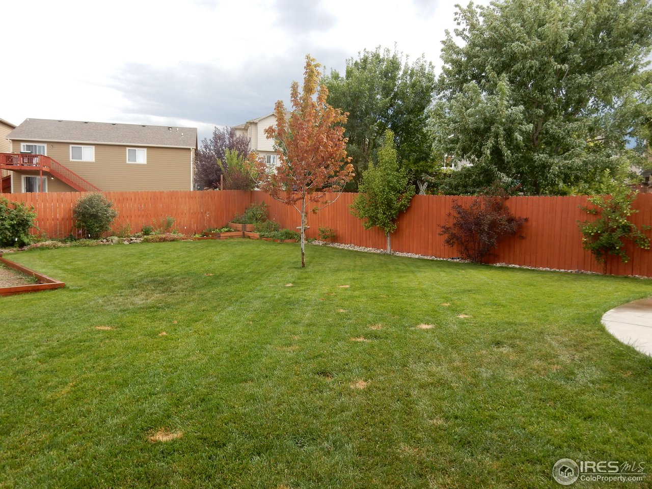 8712 18th St Road Greeley, CO 80634 - Photo 18 of 22 Backyard Fruit Trees