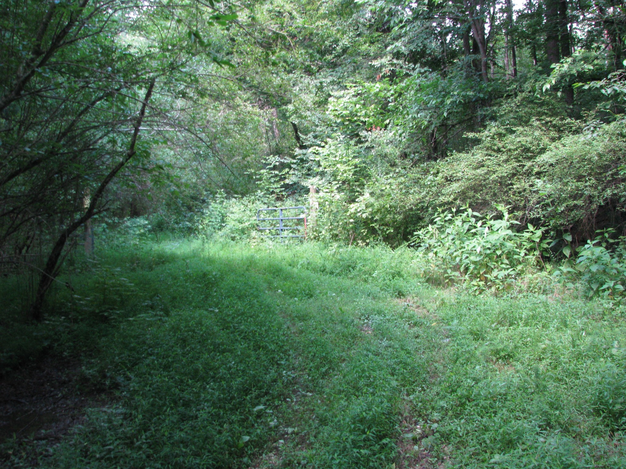 0 Matthews Hollow Road Waverly, TN 37185 - Photo 6 of 19