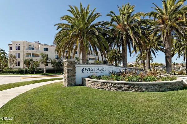 a garden with palm trees