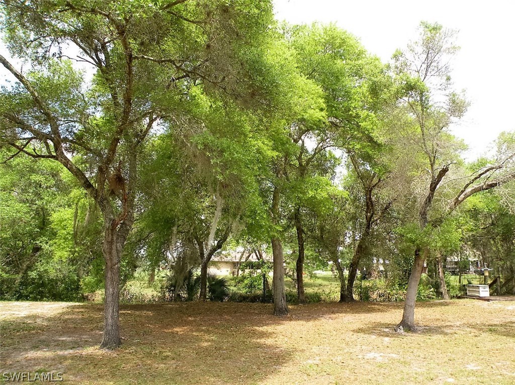 17571 Frank Road Alva, FL 33920 - Photo 6 of 13 a view of a yard with a tree