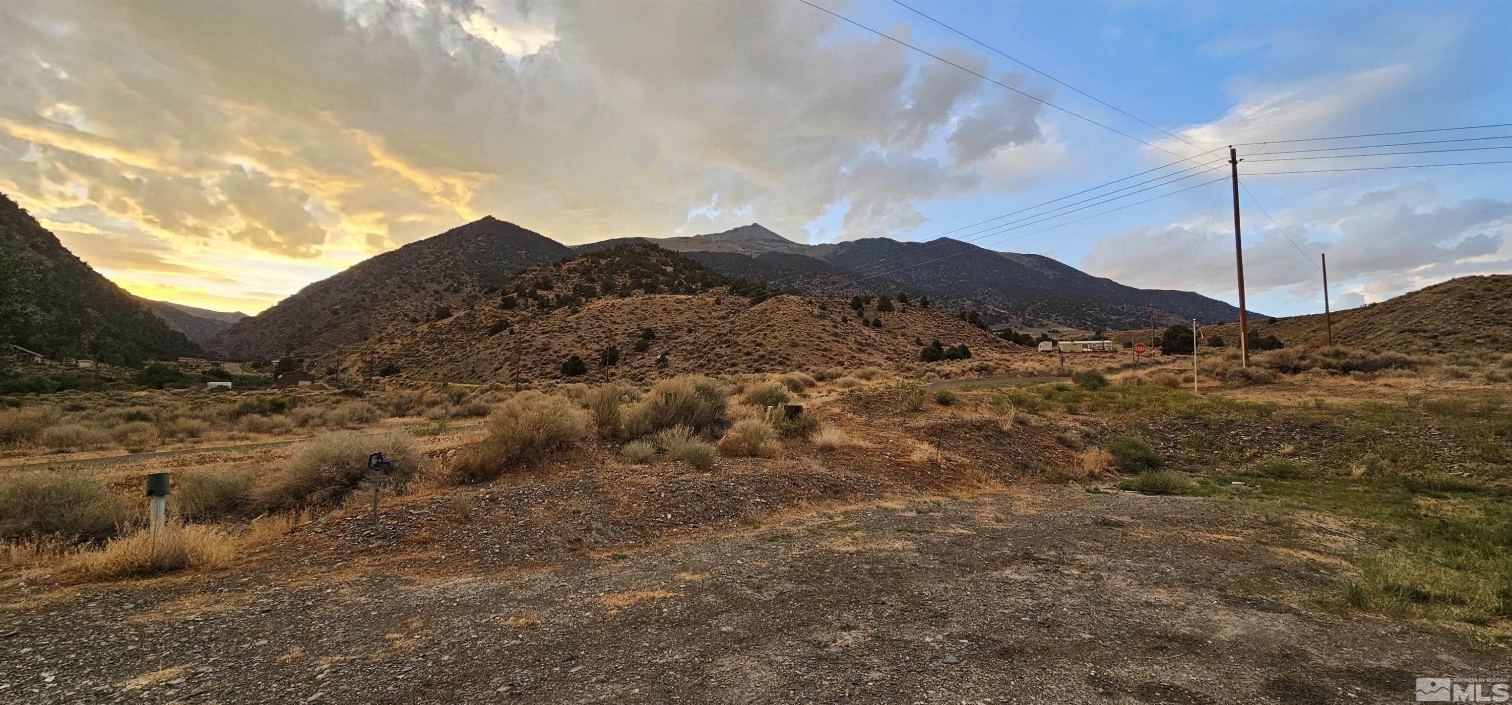 116 Victorine Drive Kingston, NV 89310 - Photo 24 of 25 a view of a dry yard with mountains in the background