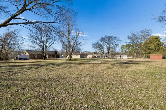 a view of yard with green space