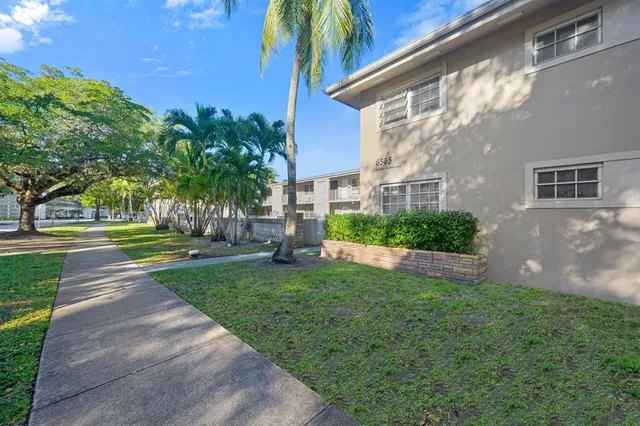 a view of a park with plants and palm trees