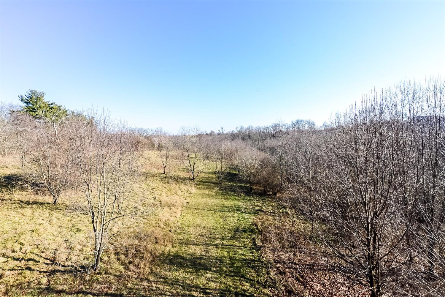 5075 Versailles Road Lexington, KY 40510 - Photo 12 of 30 Photo 12