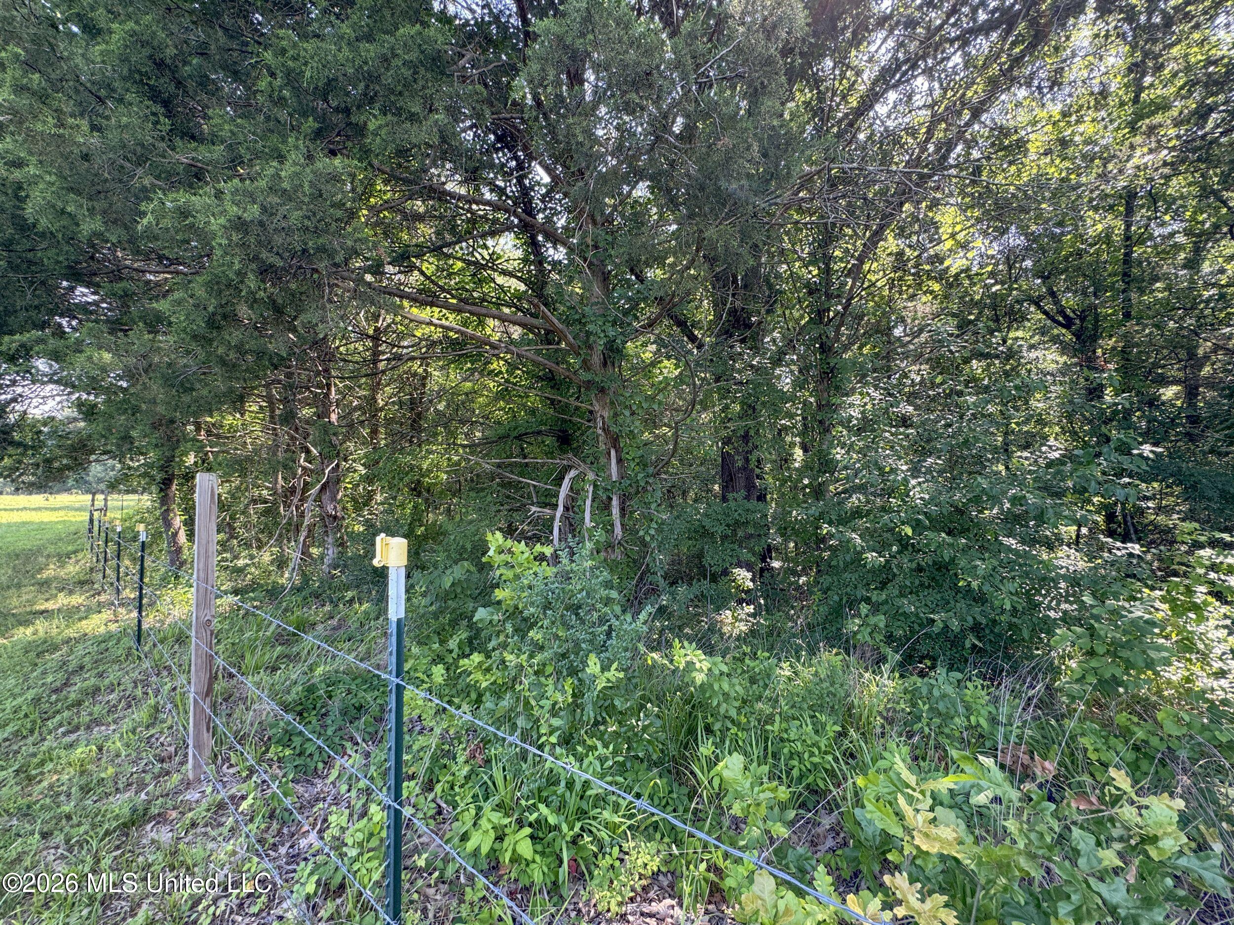 2169 Slocum Road Hernando, MS 38632 - Photo 80 of 94 8slcm42