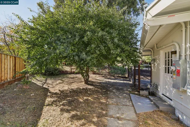 a view of a street with a tree