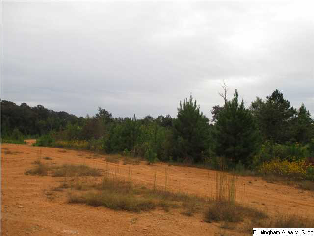 76 Morris Farms Drive Riverside, AL 35135 - Photo 6 of 6