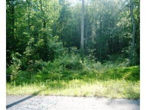 6 Pfeiffer Ridge Road, Unit 6 Elizabethton, TN 37643 - Photo 2 of 3 Photo 2