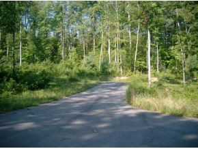 6 Pfeiffer Ridge Road, Unit 6 Elizabethton, TN 37643 - Photo 3 of 3 Photo 3