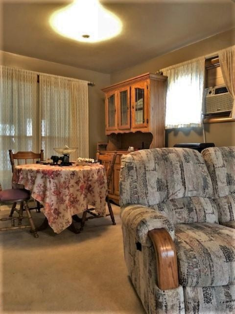 679 Durham Avenue Reed City, MI 49677 - Photo 5 of 15 IMG_5890