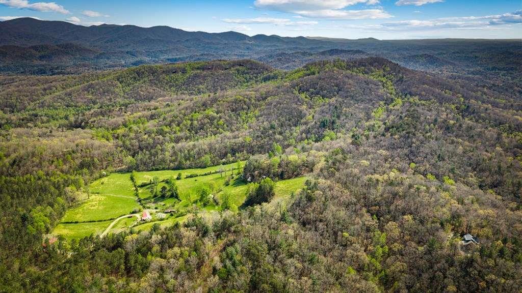 384 Maxwell Road Blue Ridge, GA 30513 - Photo 58 of 68