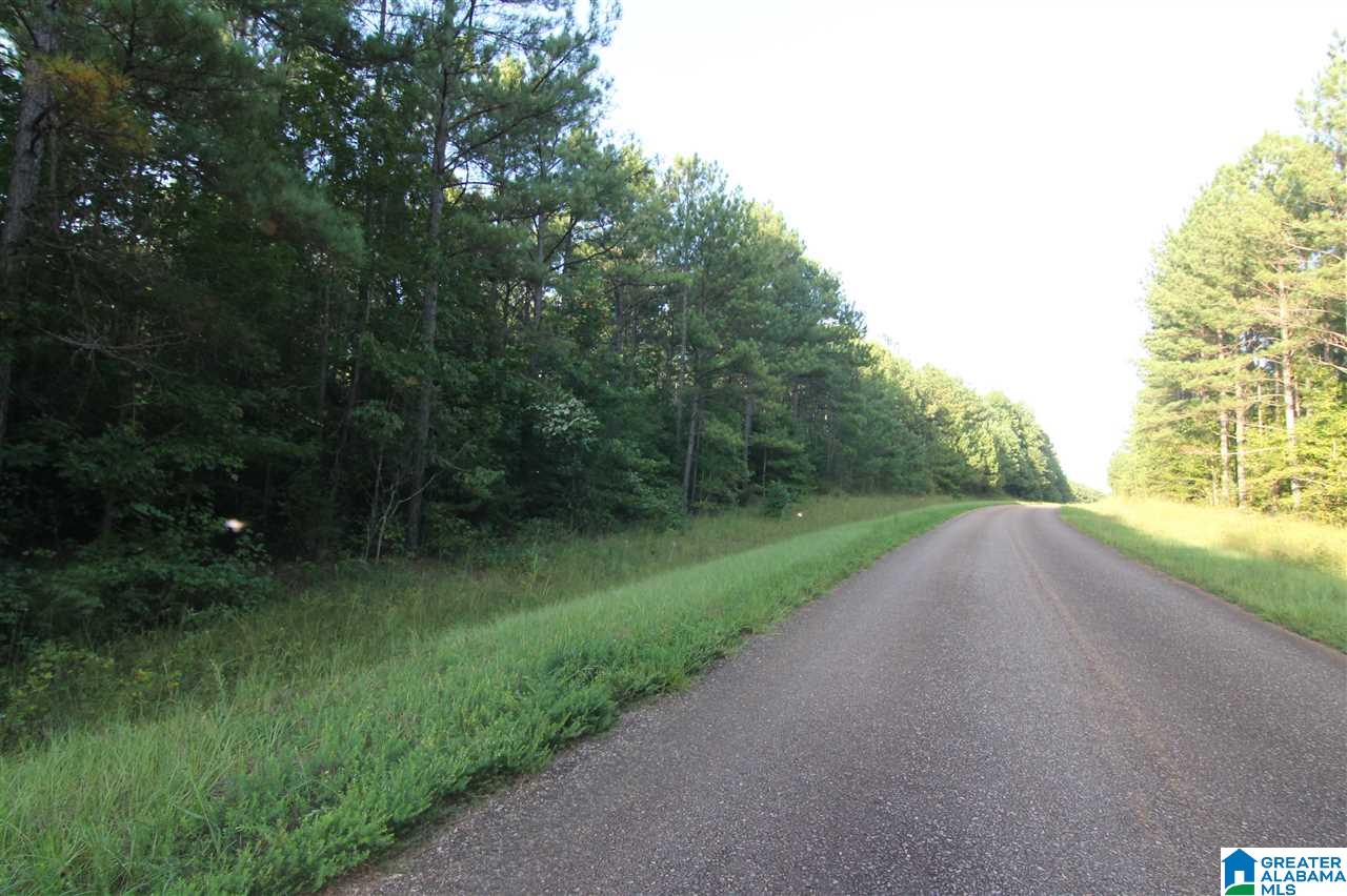 632 County Road, Unit 21 Roanoke, AL 36274 - Photo 7 of 7