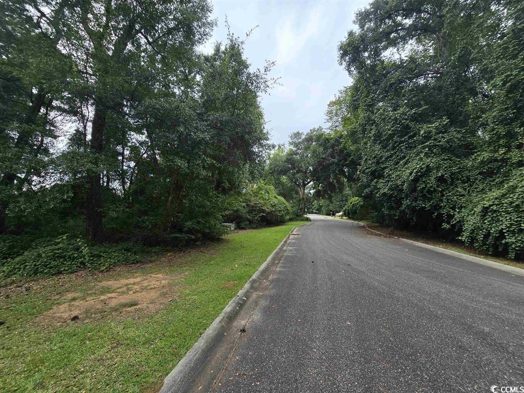 Tbd Gillette Place Murrells Inlet, SC 29576 - Photo 3 of 6