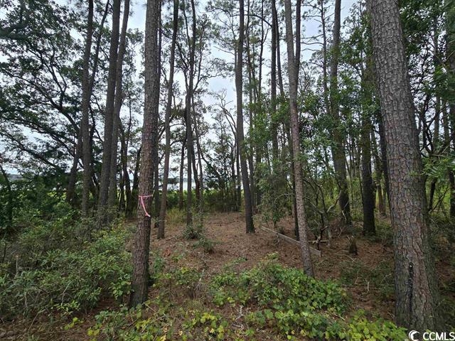 Tbd Gillette Place Murrells Inlet, SC 29576 - Photo 4 of 6