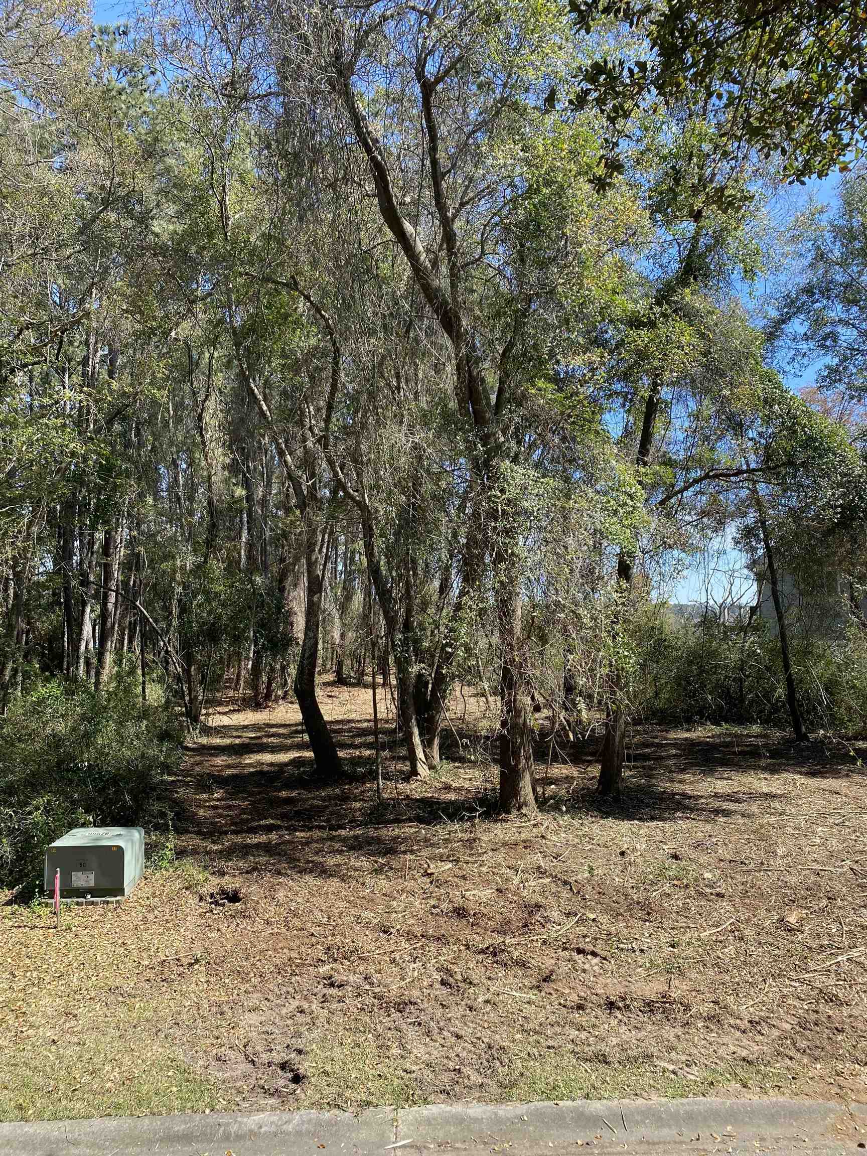 Tbd Gillette Place Murrells Inlet, SC 29576 - Photo 5 of 6