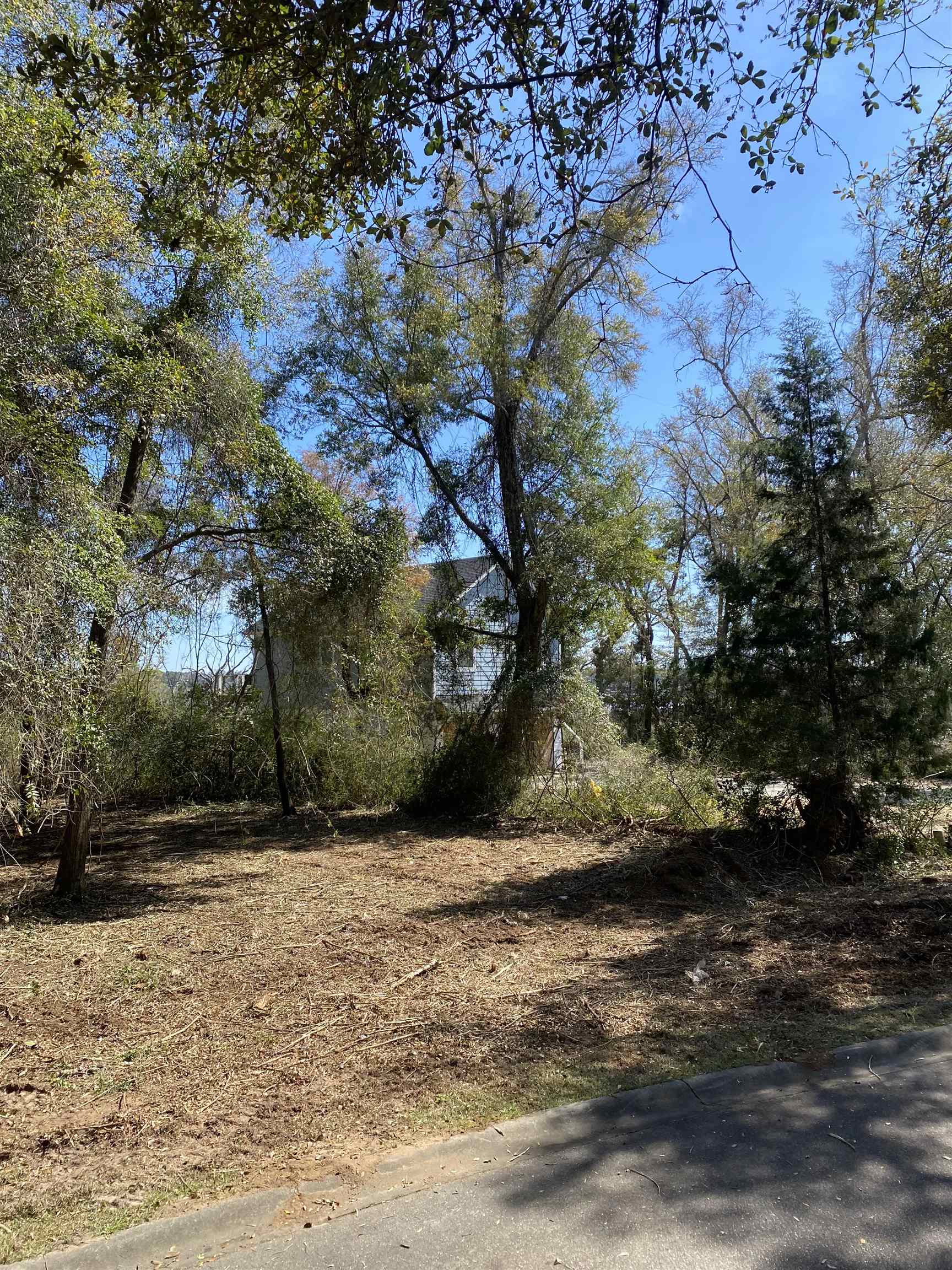 Tbd Gillette Place Murrells Inlet, SC 29576 - Photo 6 of 6