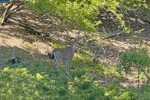 a plant tree in the middle of a garden