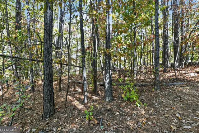 $185,000 | 10120 Rivertown Road, Fairburn, GA 30213