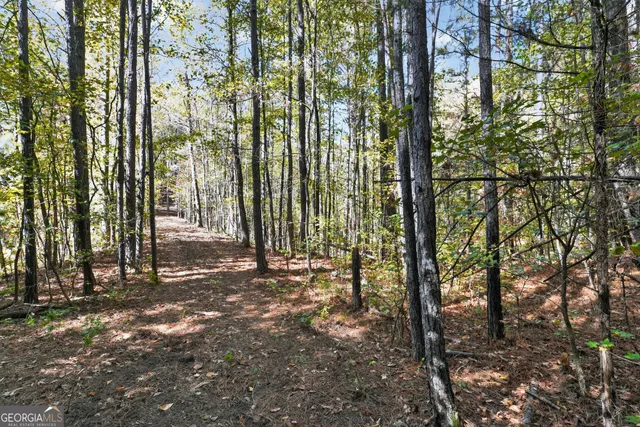 $185,000 | 10120 Rivertown Road, Fairburn, GA 30213