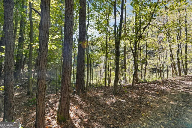 $185,000 | 10120 Rivertown Road, Fairburn, GA 30213