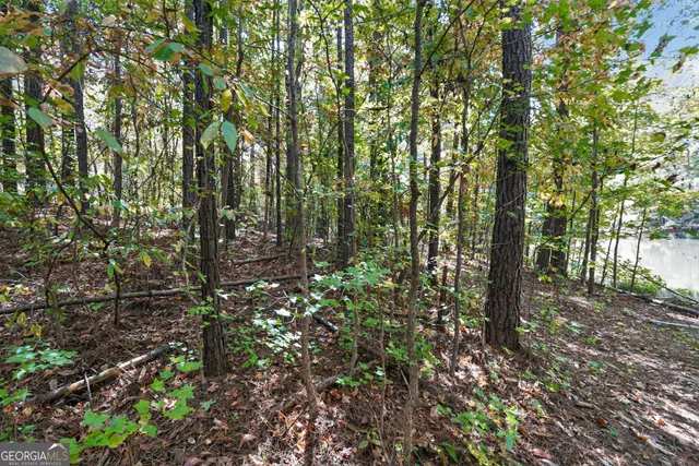 $185,000 | 10120 Rivertown Road, Fairburn, GA 30213