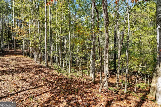 $185,000 | 10120 Rivertown Road, Fairburn, GA 30213