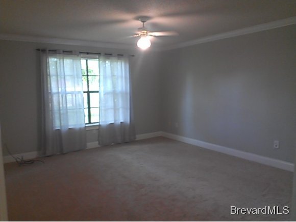 7245 Freeport Road Cocoa, FL 32927 - Photo 10 of 12 Additional Photo