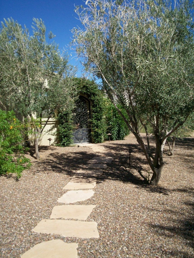 8258 South Long Bar Ranch Place, Unit LOT 99 Vail, AZ 85641 - Photo 38 of 45