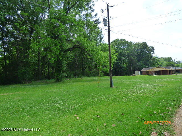 88 East Wilderness Road Natchez, MS 39120 - Photo 18 of 19 P1470675