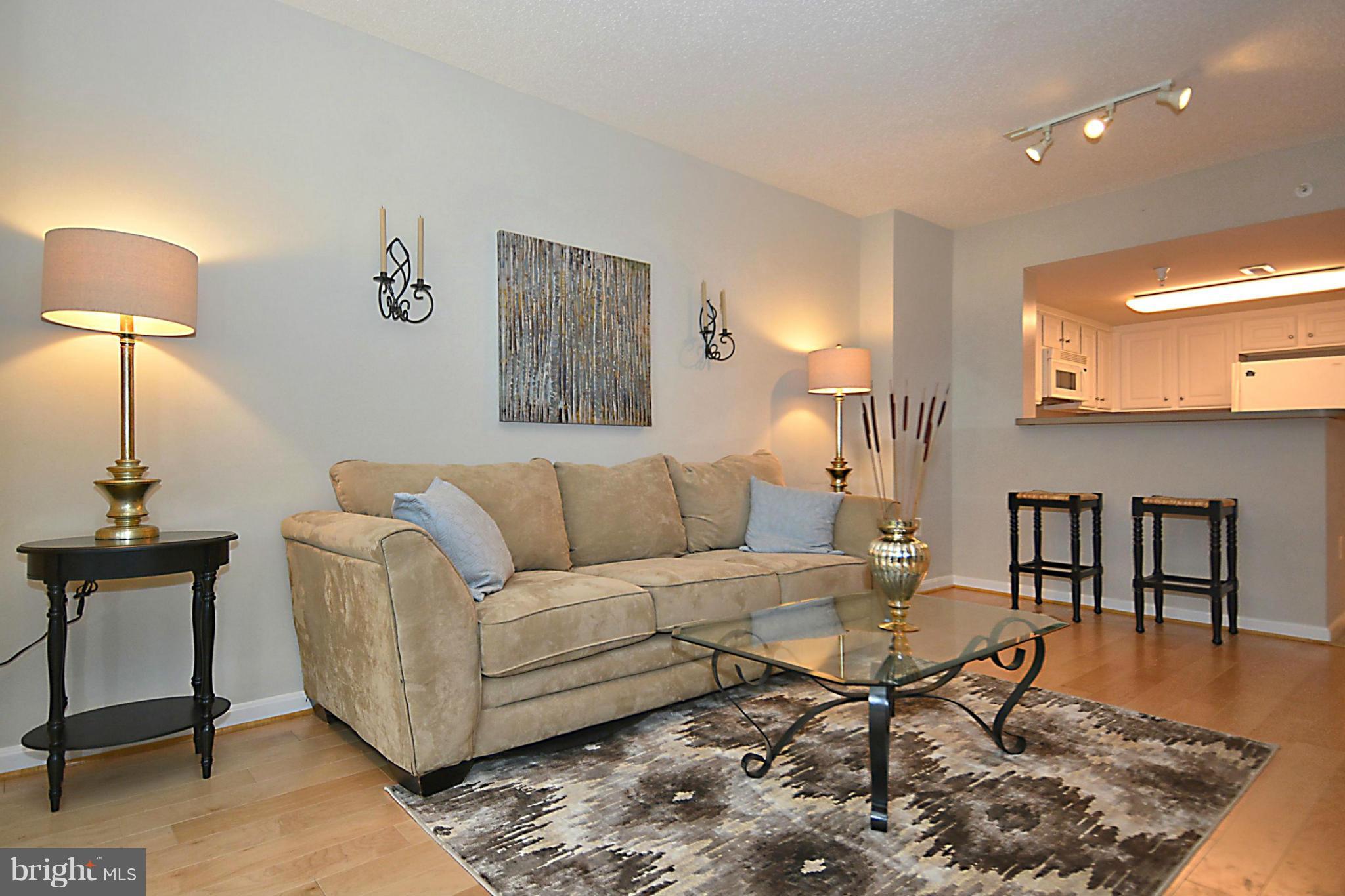 11710 Old Georgetown Road, Unit 419 North Bethesda, MD 20852 - Photo 4 of 30 a living room with furniture a lamp and a rug
