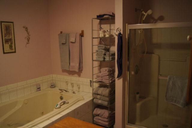 10666 12 Mile Road Ceresco, MI 49033 - Photo 9 of 16 Additional Photo