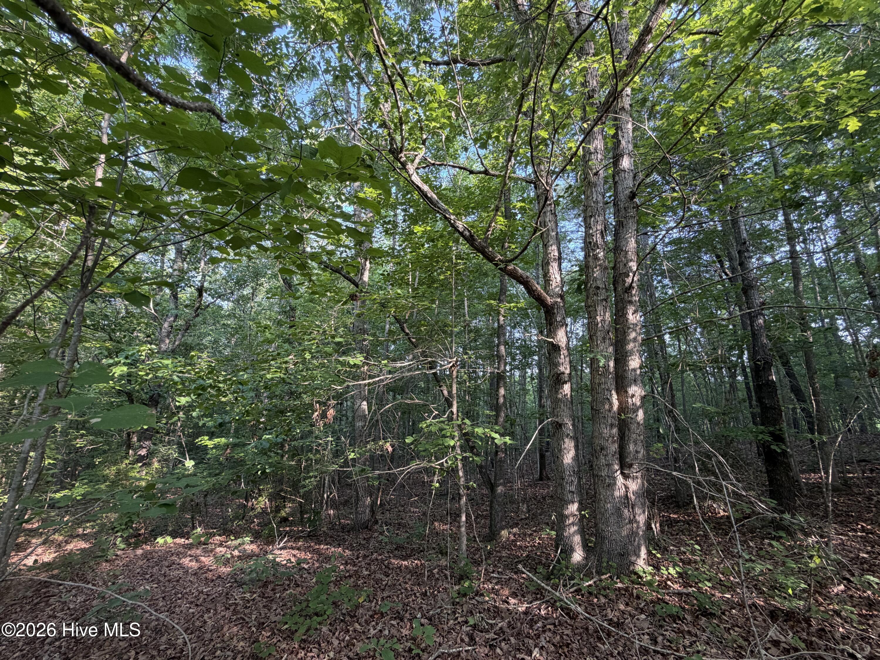 150 Watsons Way Rockingham, NC 28379 - Photo 3 of 7 Lot 28