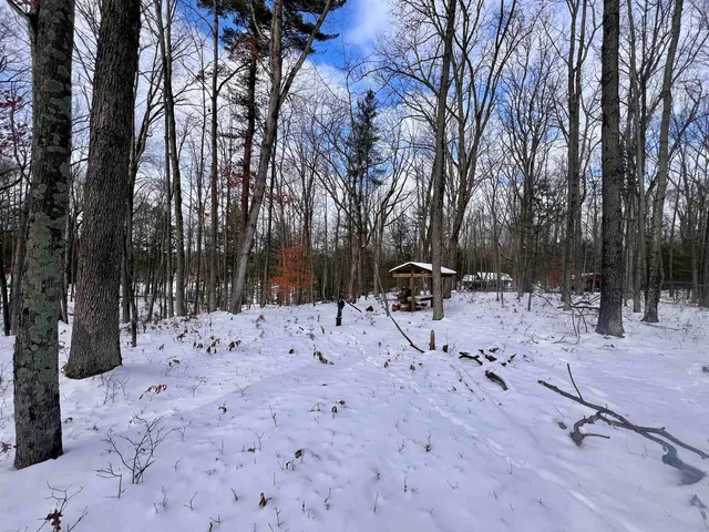 $69,900 | County P Road, Unit 1, Pound, WI 54161