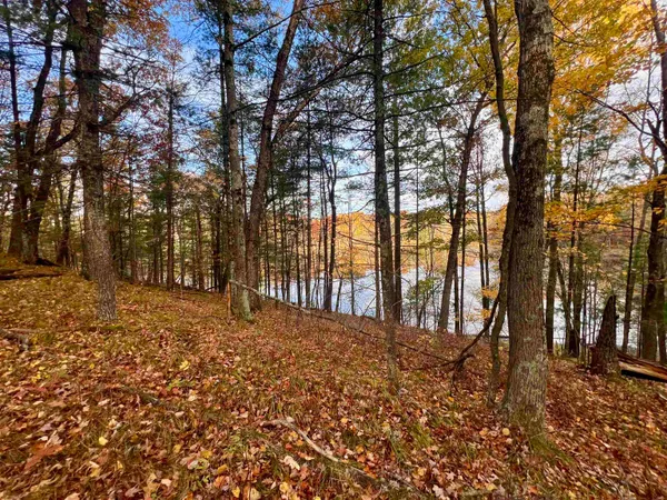 $69,900 | County P Road, Unit 1, Pound, WI 54161