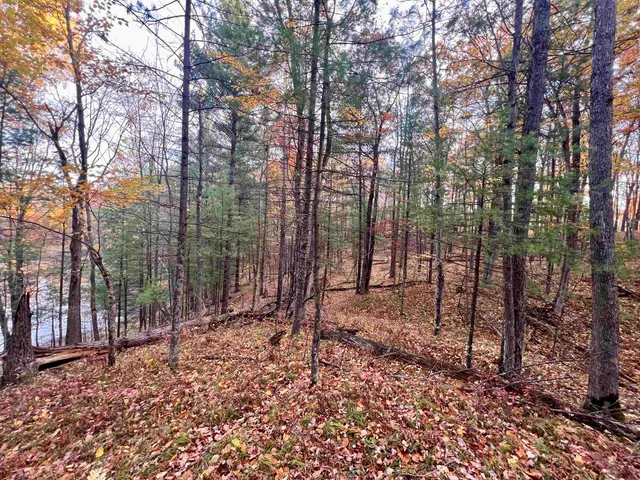 $69,900 | County P Road, Unit 1, Pound, WI 54161