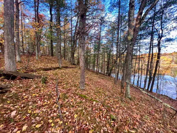 $69,900 | County P Road, Unit 1, Pound, WI 54161