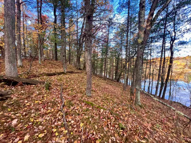 $69,900 | County P Road, Unit 1, Pound, WI 54161