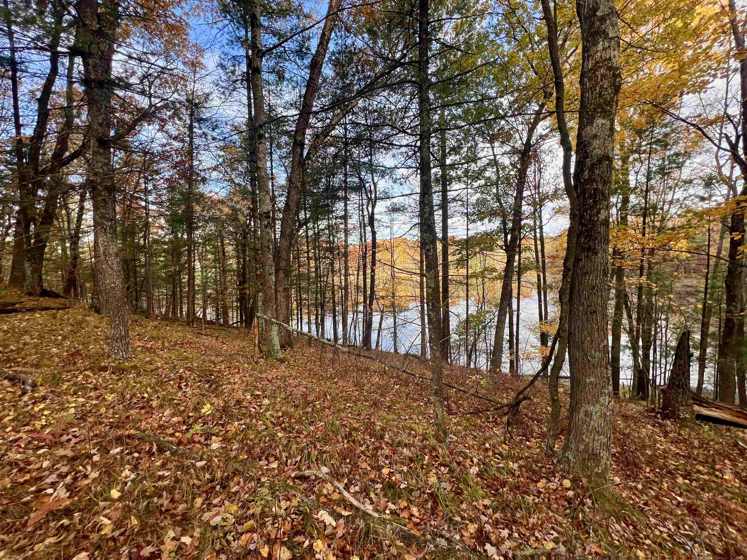 County P Road, Unit 1 Pound, WI 54161 - Photo 2 of 12