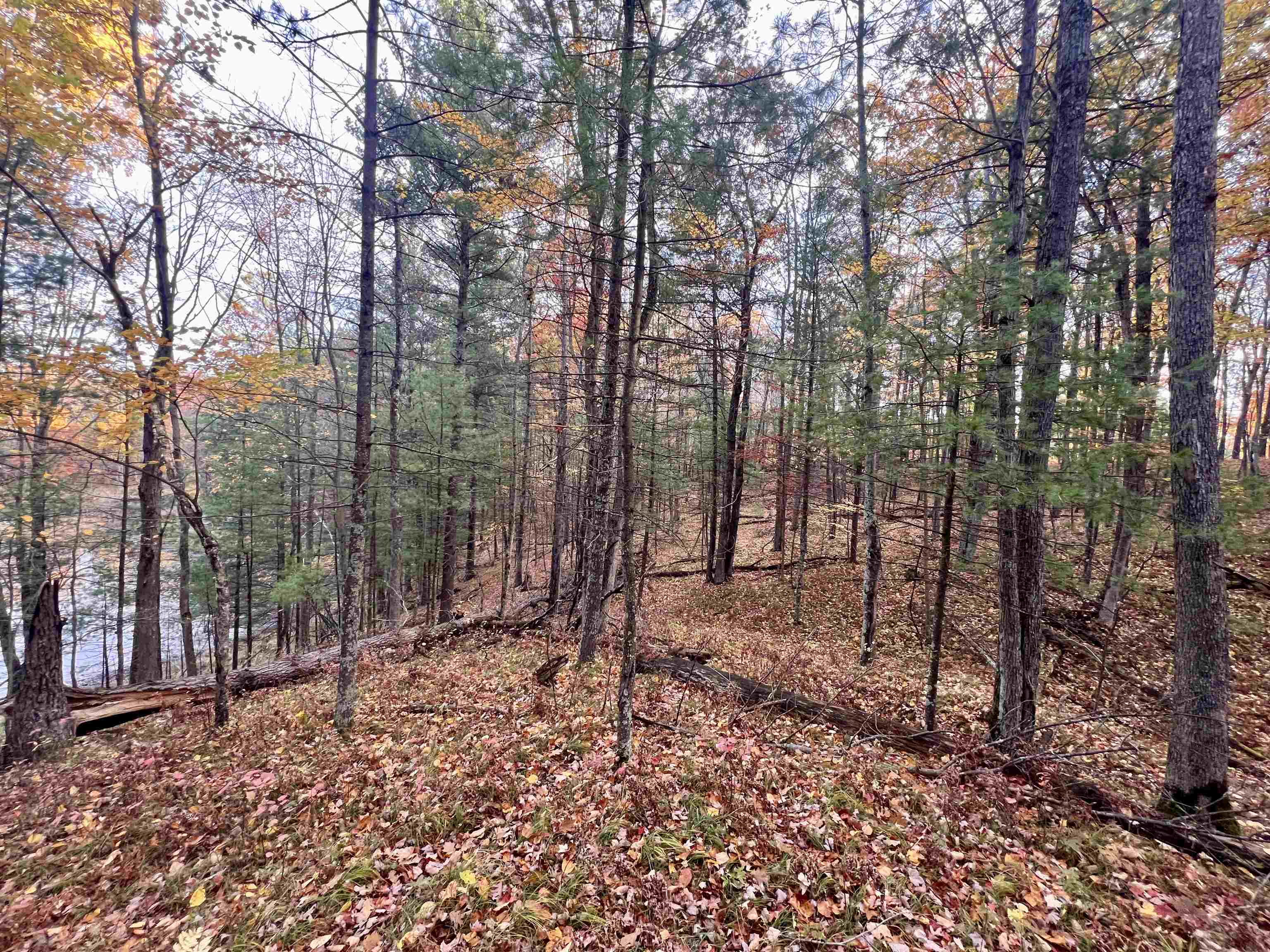 County P Road, Unit 1 Pound, WI 54161 - Photo 3 of 12
