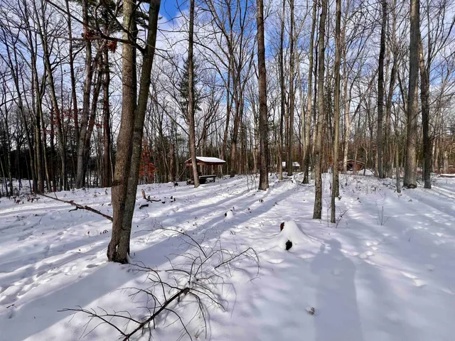 $69,900 | County P Road, Unit 1, Pound, WI 54161