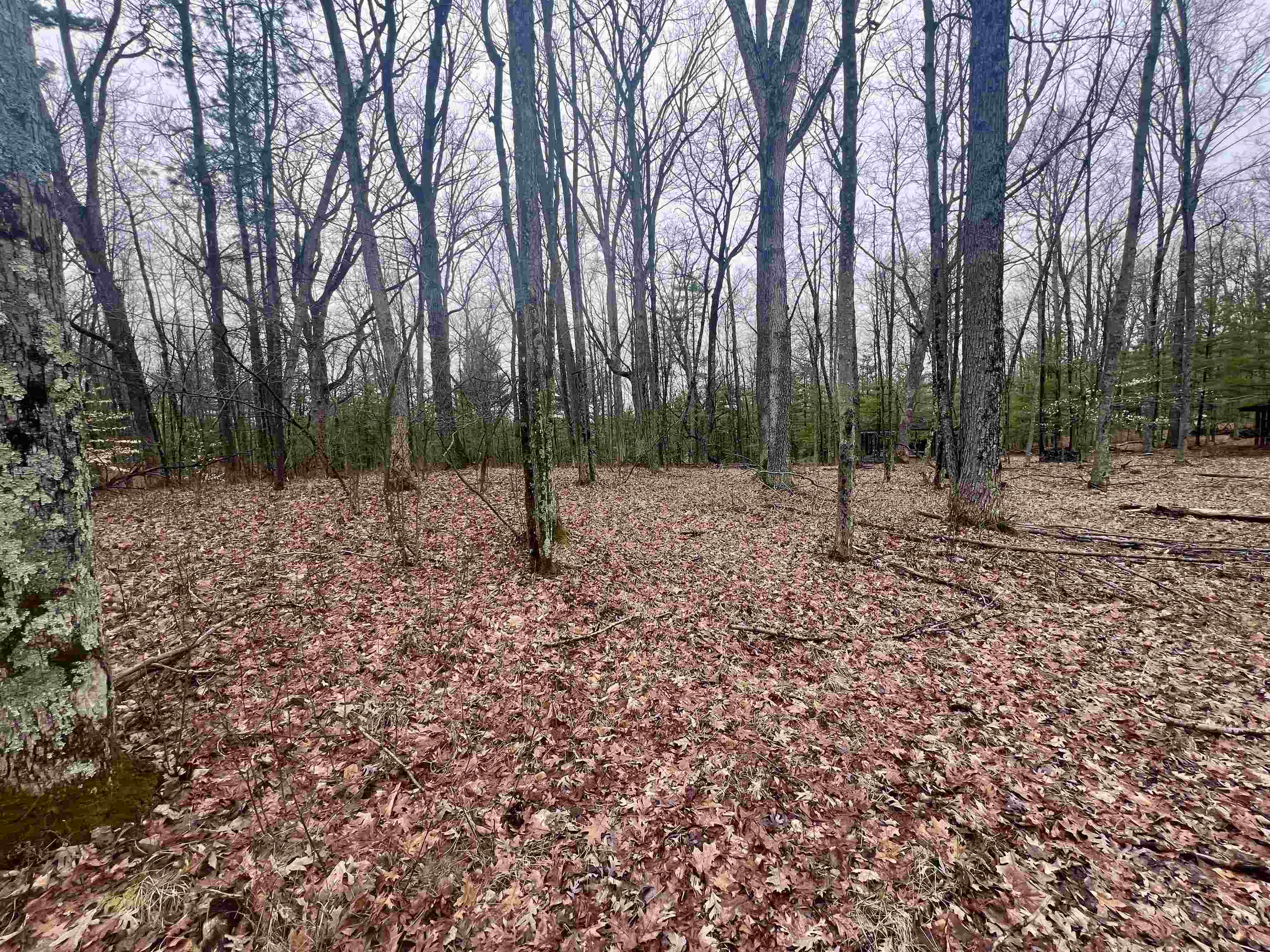 County P Road, Unit 1 Pound, WI 54161 - Photo 6 of 12