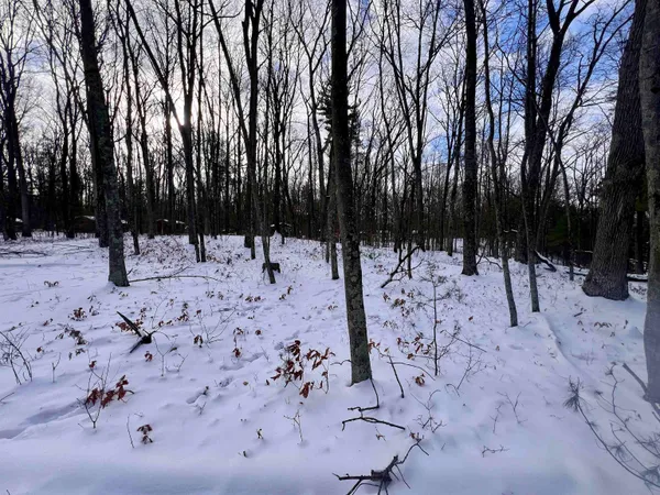 $69,900 | County P Road, Unit 1, Pound, WI 54161