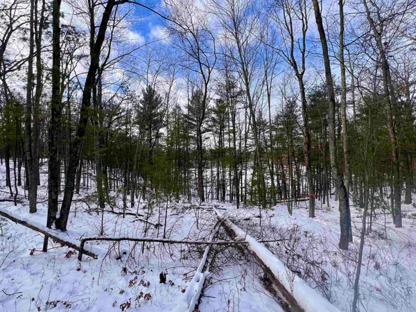 $69,900 | County P Road, Unit 1, Pound, WI 54161