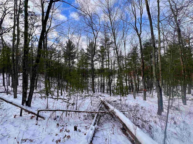$69,900 | County P Road, Unit 1, Pound, WI 54161