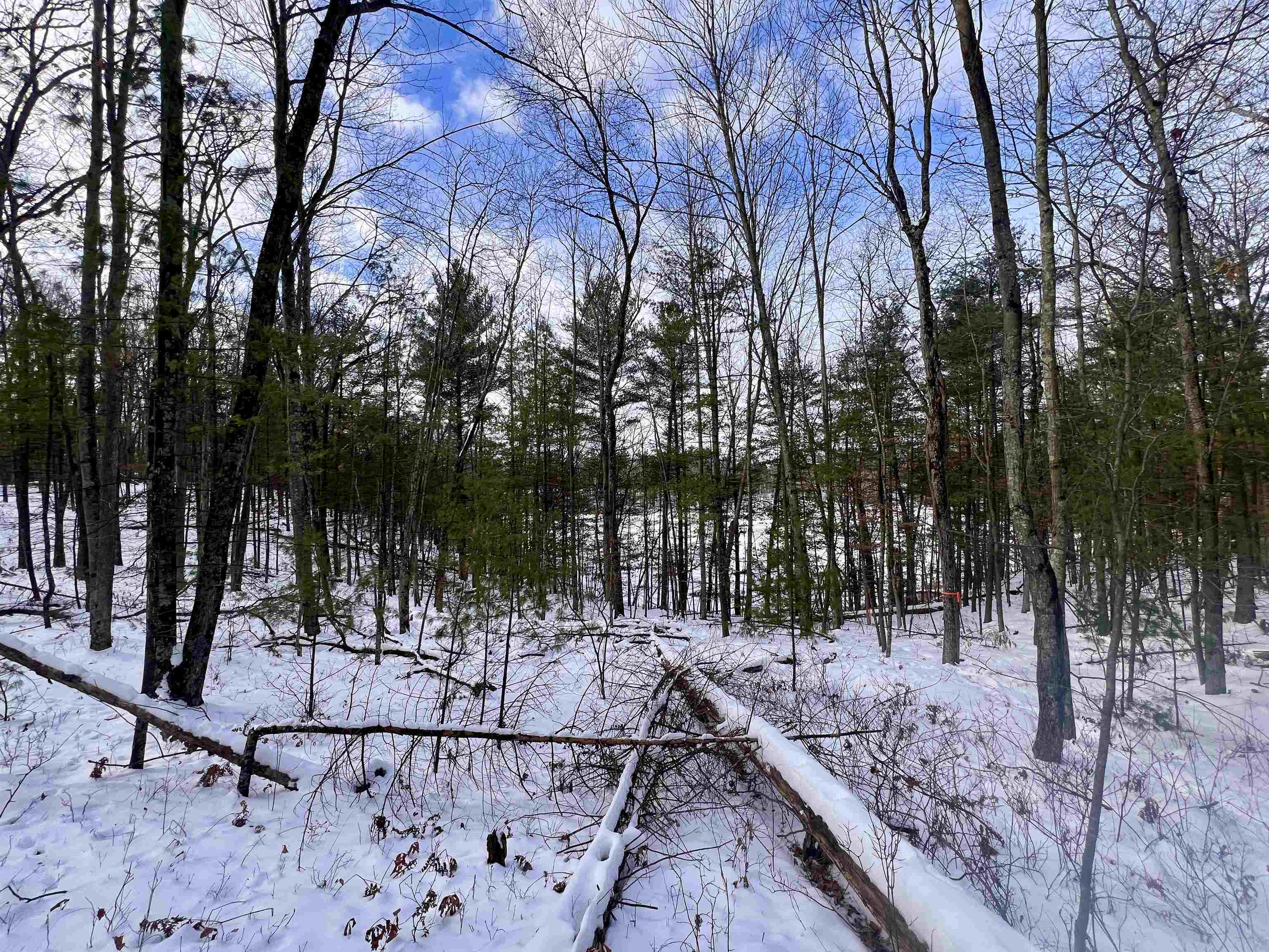 County P Road, Unit 1 Pound, WI 54161 - Photo 7 of 14