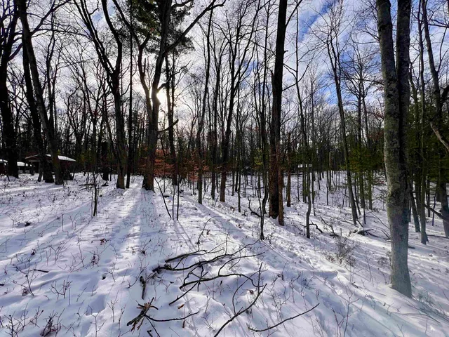 $69,900 | County P Road, Unit 1, Pound, WI 54161