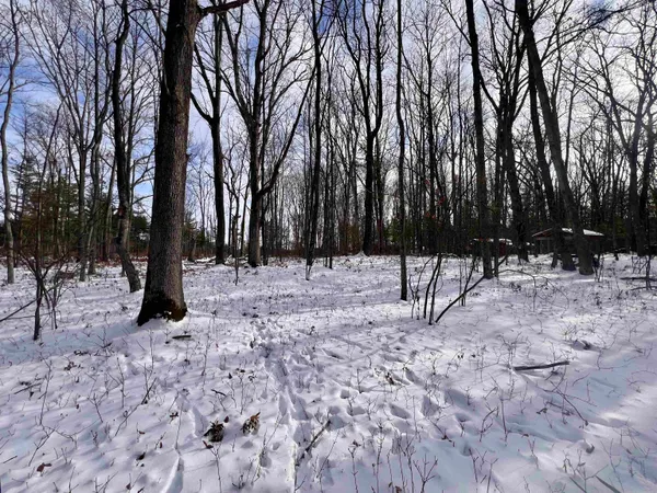 $69,900 | County P Road, Unit 1, Pound, WI 54161